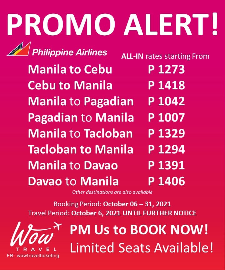 wow travel cebu contact number